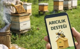 2026 Arıcılık Desteği Ne Kadar? Kovan Başına Ödeme, Şartlar ve Başvuru Rehberi