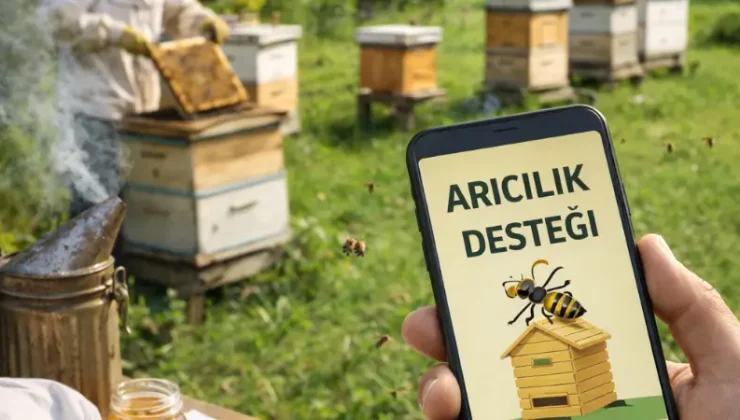 2026 Arıcılık Desteği Ne Kadar? Kovan Başına Ödeme, Şartlar ve Başvuru Rehberi