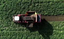 2026 Tarım Hibeleri Listesi: Devletin Verdiği Tüm Destekler (Güncel Rehber)