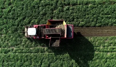 2026 Tarım Hibeleri Listesi: Devletin Verdiği Tüm Destekler (Güncel Rehber)