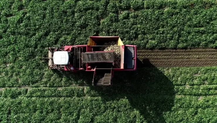 2026 Tarım Hibeleri Listesi: Devletin Verdiği Tüm Destekler (Güncel Rehber)