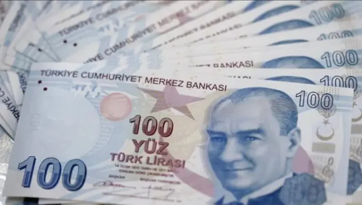 Engelli Maaşı Başvurusu Nasıl Yapılır?