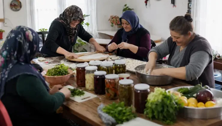 Ev Hanımlarına Devlet Desteği 2026 (Geri Ödemesiz Yardımlar ve Başvuru Rehberi)